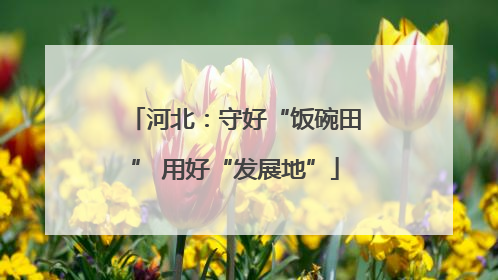 河北：守好“饭碗田” 用好“发展地”