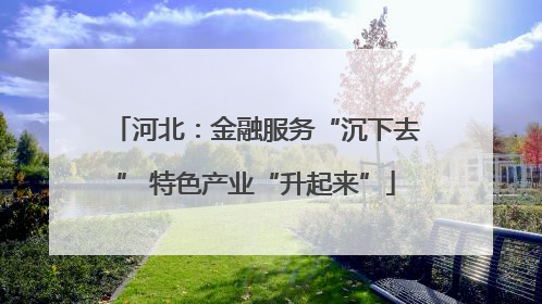 河北:金融服务“沉下去” 特色产业“升起来”