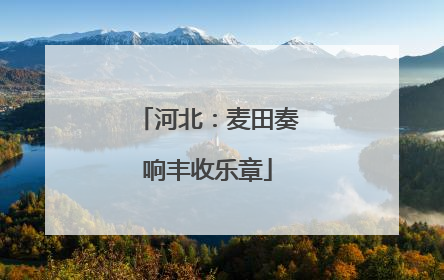 河北：麦田奏响丰收乐章