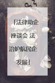 法律助企座谈会 法治护航民企发展