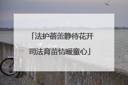 法护蓓蕾静待花开 司法育苗情暖童心