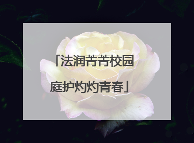法润菁菁校园 庭护灼灼青春