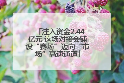 注入资金2.44亿元 这场对接会铺设“赛场”迈向“市场”高速通道