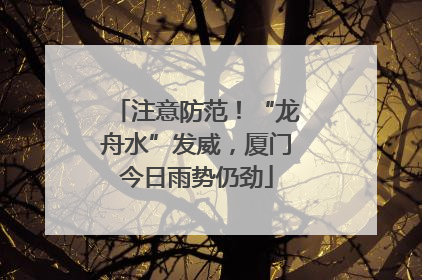 注意防范！“龙舟水”发威，厦门今日雨势仍劲