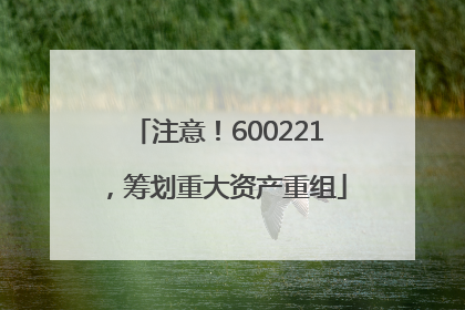 注意！600221，筹划重大资产重组