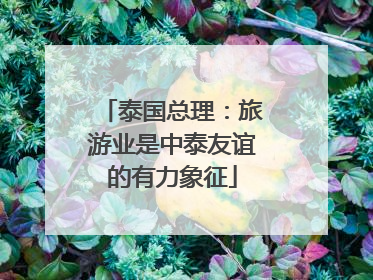 泰国总理：旅游业是中泰友谊的有力象征