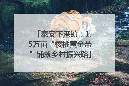 泰安下港镇：1.5万亩“樱桃黄金带”铺就乡村振兴路