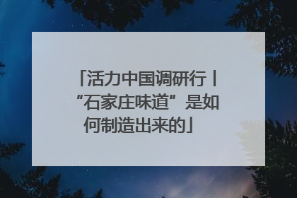 活力中国调研行丨“石家庄味道”是如何制造出来的