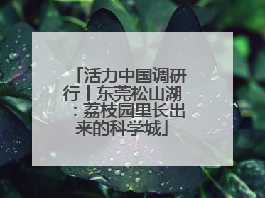 活力中国调研行丨东莞松山湖：荔枝园里长出来的科学城
