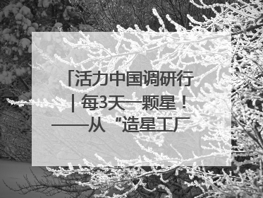 活力中国调研行｜每3天一颗星！——从“造星工厂”到太空织网的“银河速度”
