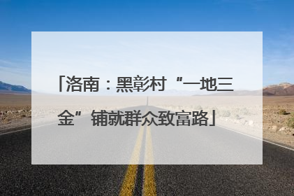 洛南：黑彰村“一地三金”铺就群众致富路
