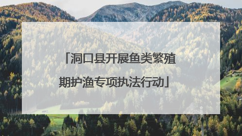 洞口县开展鱼类繁殖期护渔专项执法行动