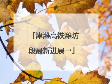 津潍高铁潍坊段最新进展→
