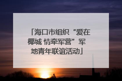海口市组织“爱在椰城 情牵军营”军地青年联谊活动
