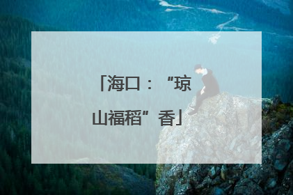 海口：“琼山福稻”香