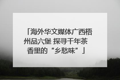 海外华文媒体广西梧州品六堡 探寻千年茶香里的“乡愁味”
