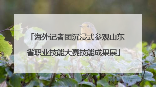 海外记者团沉浸式参观山东省职业技能大赛技能成果展