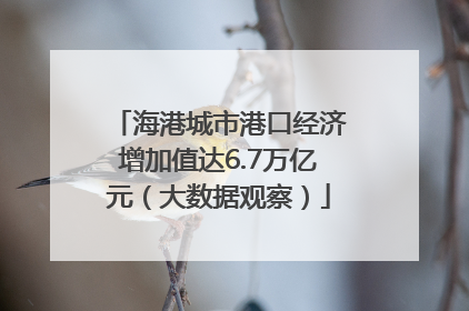 海港城市港口经济增加值达6.7万亿元（大数据观察）