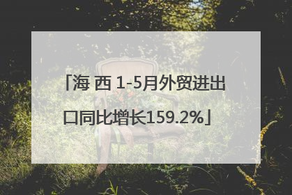 海 西 1-5月外贸进出口同比增长159.2%