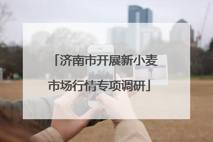 济南市开展新小麦市场行情专项调研