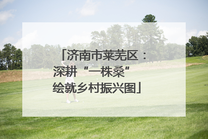 济南市莱芜区：深耕“一株桑” 绘就乡村振兴图
