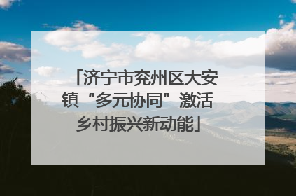 济宁市兖州区大安镇“多元协同”激活乡村振兴新动能