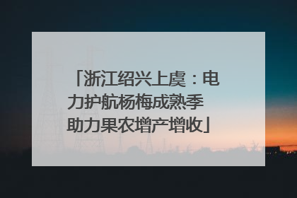 浙江绍兴上虞：电力护航杨梅成熟季 助力果农增产增收