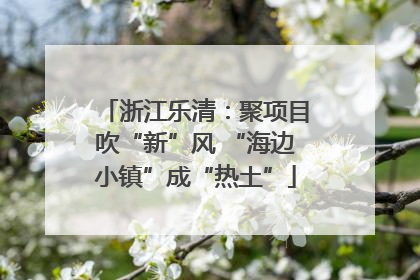 浙江乐清：聚项目吹“新”风 “海边小镇”成“热土”
