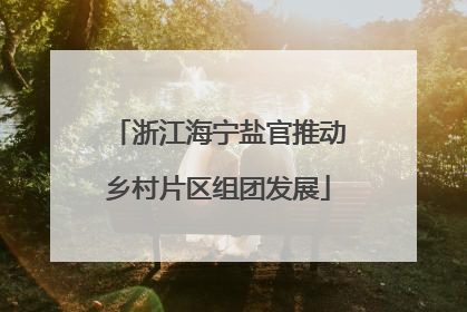 浙江海宁盐官推动乡村片区组团发展