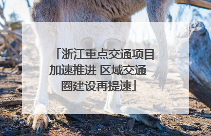 浙江重点交通项目加速推进 区域交通圈建设再提速
