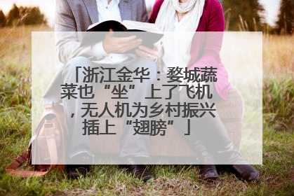 浙江金华：婺城蔬菜也“坐”上了飞机，无人机为乡村振兴插上“翅膀”