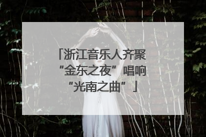浙江音乐人齐聚“金东之夜”唱响“光南之曲”