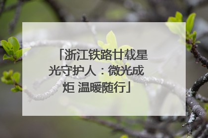 浙江铁路廿载星光守护人：微光成炬 温暖随行