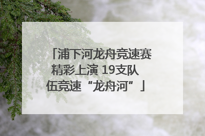 浦下河龙舟竞速赛精彩上演 19支队伍竞速“龙舟河”