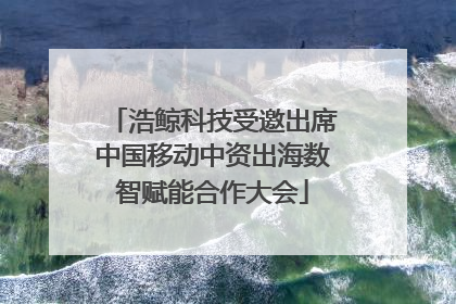 浩鲸科技受邀出席中国移动中资出海数智赋能合作大会