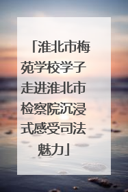 淮北市梅苑学校学子走进淮北市检察院沉浸式感受司法魅力
