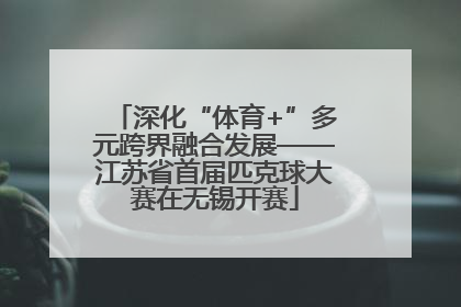 深化“体育+”多元跨界融合发展——江苏省首届匹克球大赛在无锡开赛