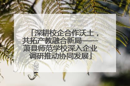 深耕校企合作沃土，共拓产教融合新局——萧县师范学校深入企业调研推动协同发展