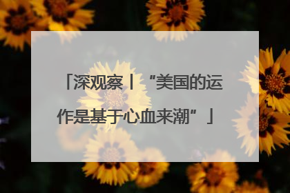 深观察丨“美国的运作是基于心血来潮”