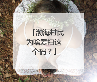 渤海村民为啥爱扫这个码？