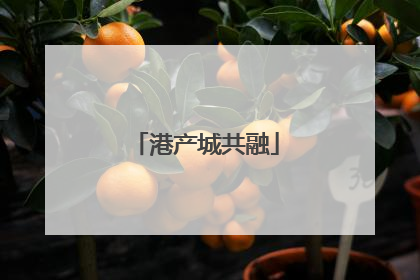 港产城共融