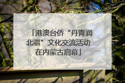 港澳台侨“丹青润北疆”文化交流活动在内蒙古启幕