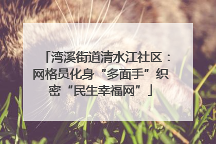 湾溪街道清水江社区：网格员化身“多面手”织密“民生幸福网”