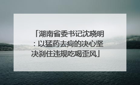 湖南省委书记沈晓明：以猛药去疴的决心坚决刹住违规吃喝歪风