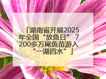 湖南省开展2025年全国“放鱼日” 7200多万尾鱼苗游入“一湖四水”