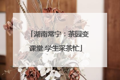 湖南常宁：茶园变课堂 学生采茶忙