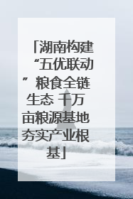 湖南构建“五优联动”粮食全链生态 千万亩粮源基地夯实产业根基