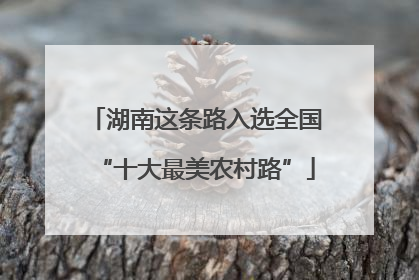 湖南这条路入选全国“十大最美农村路”