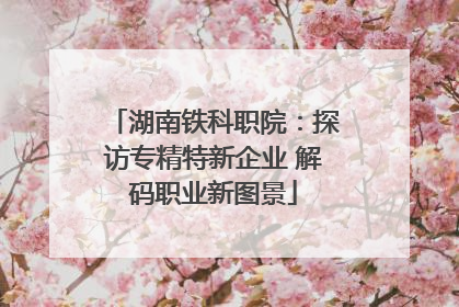 湖南铁科职院：探访专精特新企业 解码职业新图景