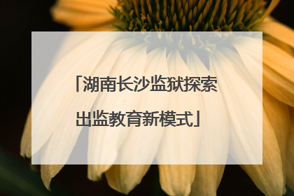 湖南长沙监狱探索出监教育新模式